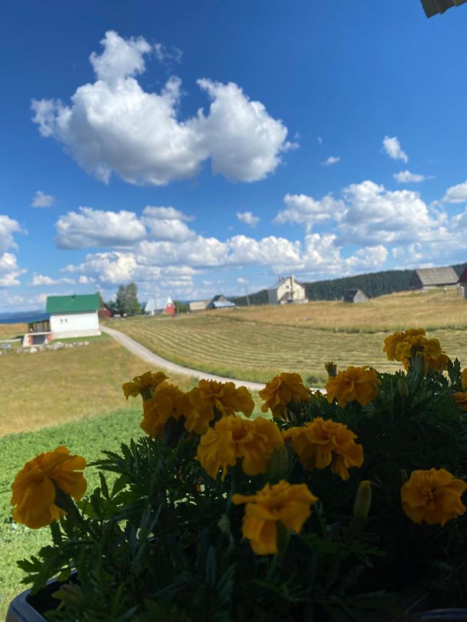 Apartman BUKOVAC Zabljak  Bagian luar foto